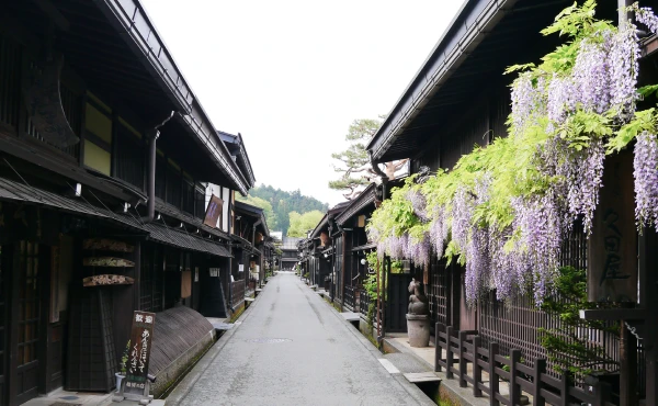 高山を歩いて楽しむ